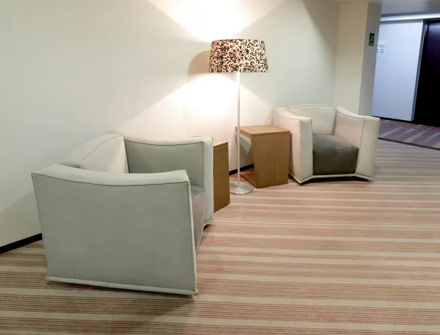 Holiday Inn Hotel & Suites Medica Sur by IHG hotel detail image 4