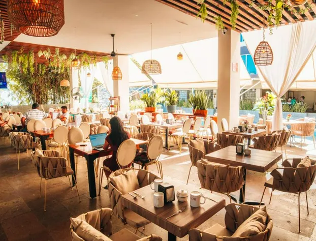 Eco City Hoteles hotel detail image 1