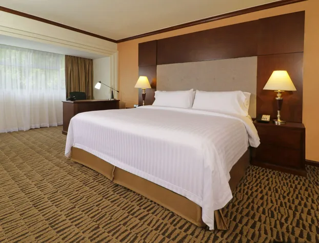 Holiday Inn Monterrey Norte by IHG hotel detail image 4