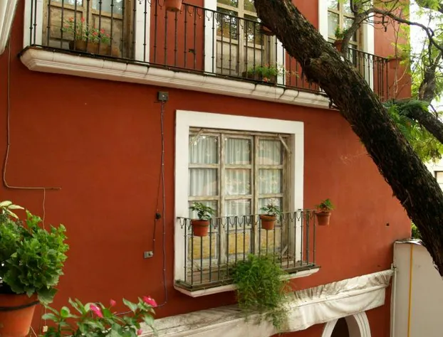 Hotel Ana Catalina & Suites hotel detail image 2