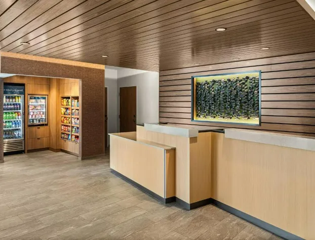 Fairfield Inn & Suites by Marriott Duluth hotel detail image 1