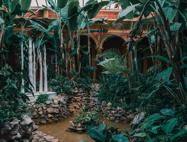 Casa Mexicana Hotel hotel detail image 3