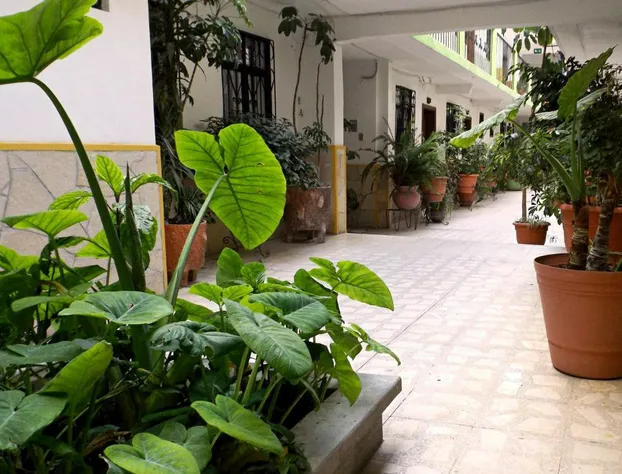 Hotel Posada las Casas hotel detail image 2