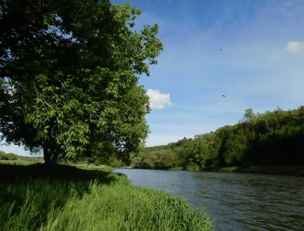Trade Winds Motel hotel detail image 4