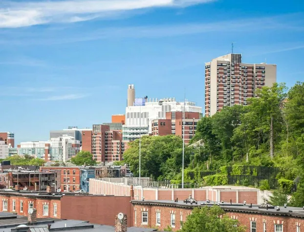 enVision Hotel Boston-Longwood hotel detail image 3