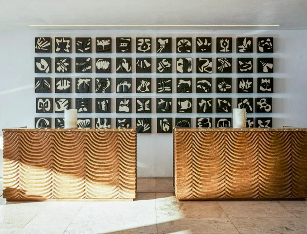 Viceroy Los Cabos hotel detail image 2