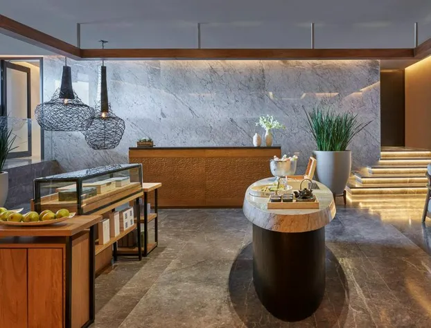 Viceroy Los Cabos hotel detail image 1