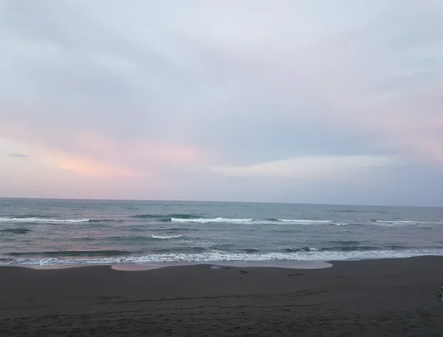 Hotel El Doral hotel detail image 2