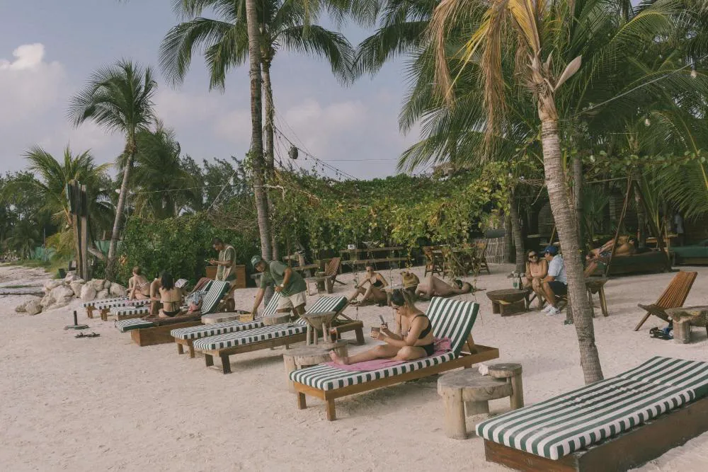 Mayan Monkey Isla Mujeres | Social Hotel hotel hero