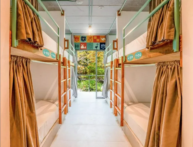 Mayan Monkey Isla Mujeres | Social Hotel hotel detail image 3