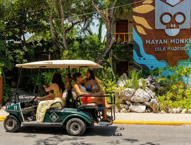 Mayan Monkey Isla Mujeres | Social Hotel hotel detail image 4