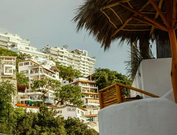 Hotel Amaca Puerto Vallarta - Adults Only hotel detail image 1