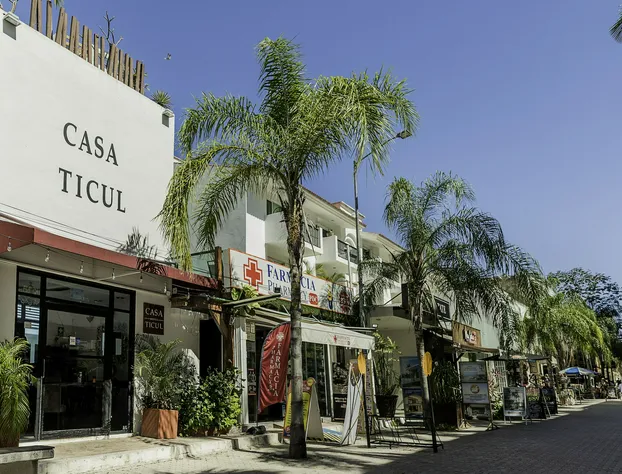 Casa Ticul Hotel Boutique 5Th Av hotel detail image 2