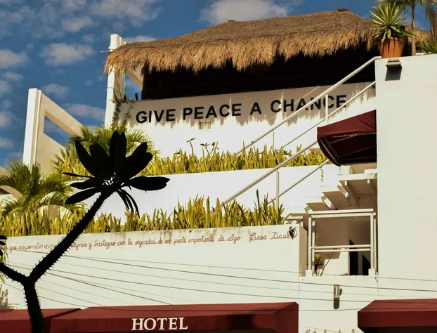 Casa Ticul Hotel Boutique 5Th Av hotel detail image 3