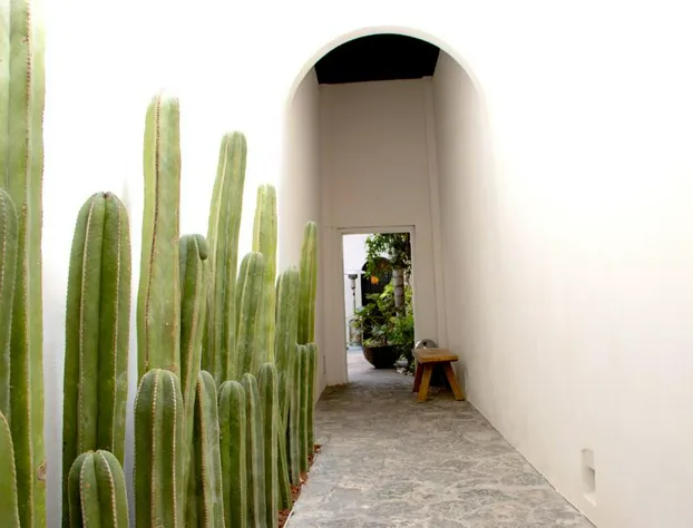 Casa Padua hotel detail image 2