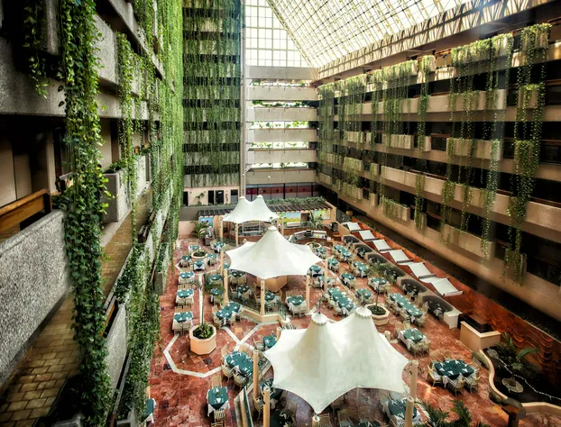 Barceló Ixtapa All Inclusive hotel detail image 2