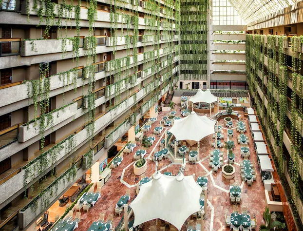 Barceló Ixtapa All Inclusive hotel detail image 3