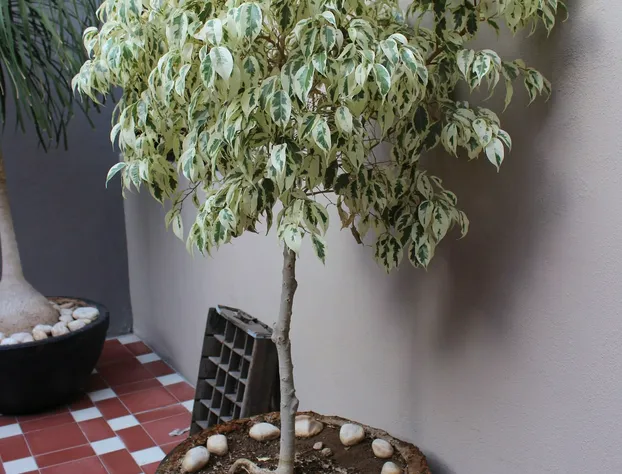 Entre Patios Hotel Boutique hotel detail image 3