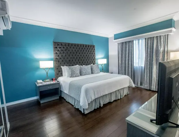 Hotel Plaza de Oro hotel detail image 4