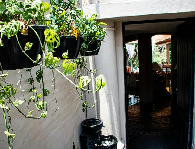 Hotel Piccolo Peccato - Adults only hotel detail image 3