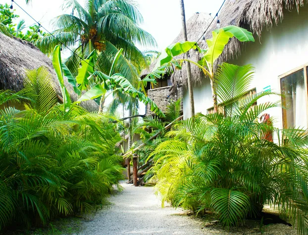 Serena Tulum - Adults Only hotel detail image 1