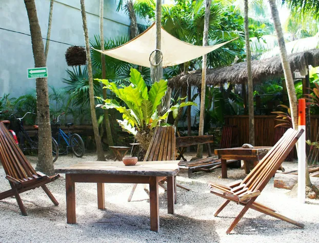 Serena Tulum - Adults Only hotel detail image 4