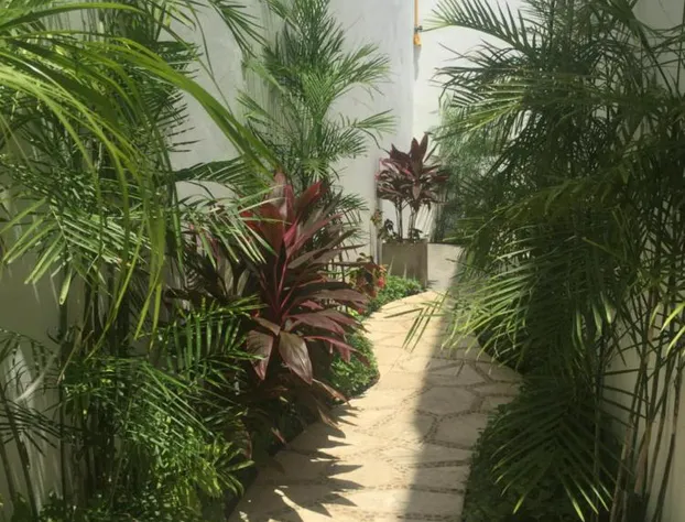 Hotel Quinta Santa Anita hotel detail image 2