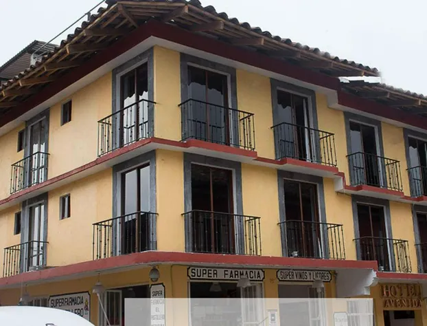 Hotel Avenida hotel detail image 1