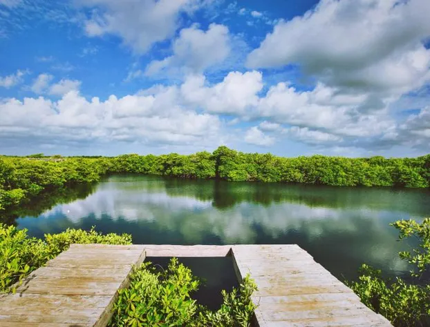 Nativus Glamping & Cenote Tulum hotel detail image 1