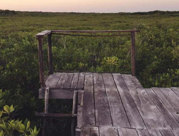 Nativus Glamping & Cenote Tulum hotel detail image 4