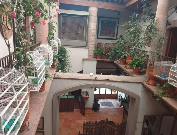Casa del Pingorongo hotel detail image 4