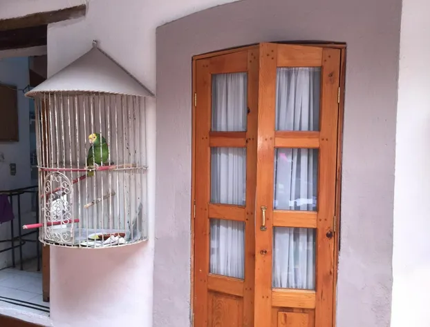 Casa del Pingorongo hotel detail image 1