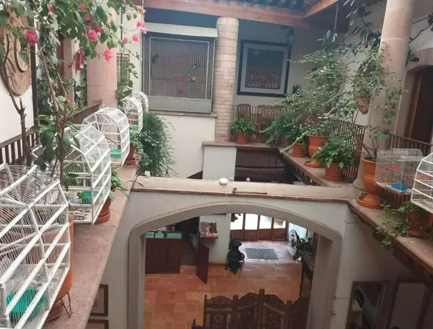 Casa del Pingorongo hotel detail image 4