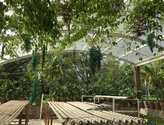 Los Naranjos Hotel Boutique hotel detail image 2