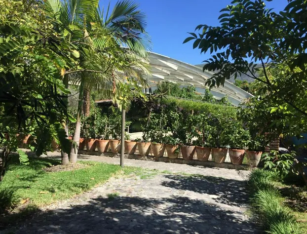 Los Naranjos Hotel Boutique hotel detail image 4