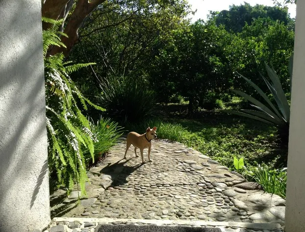 Los Naranjos Hotel Boutique hotel detail image 3