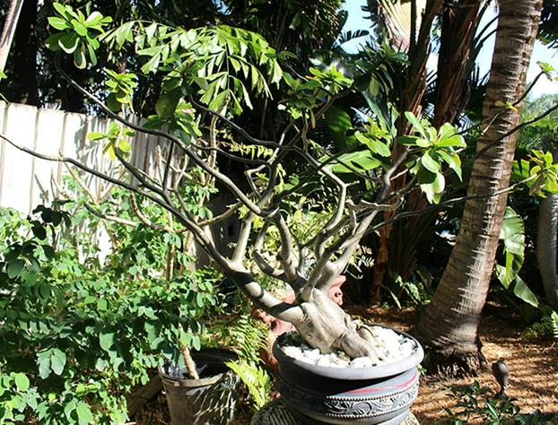 The Cabanas Guesthouse & Spa - Caters to Gay Men hotel detail image 1