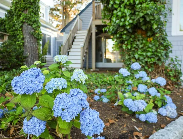 Allen Harbor Breeze Inn & Gardens hotel detail image 4