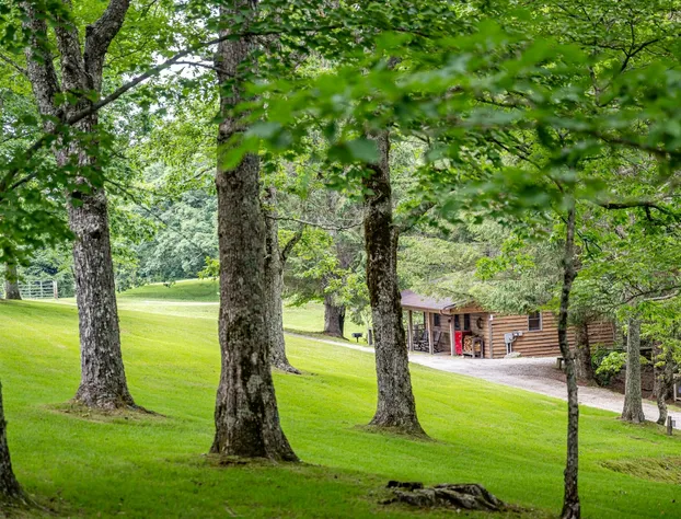 Fire Mountain Resort hotel detail image 1