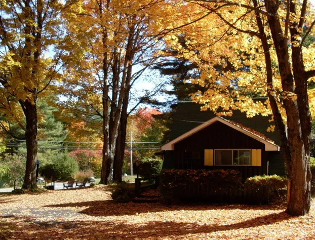 Amber Lantern Lake George Motel and Cottage Rentals hotel detail image 4