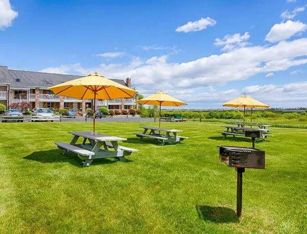 Misty Harbor Resort hotel detail image 2