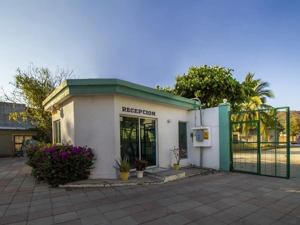 Hotel Parotas Manzanillo hotel hero