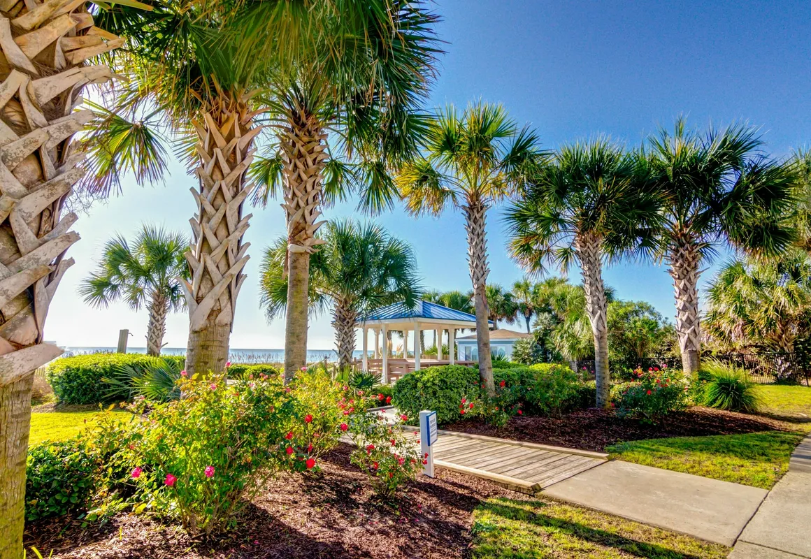 Forest Dunes hotel hero