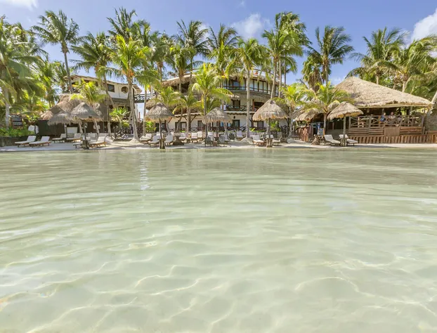 Beachfront Hotel La Palapa - Adults Only hotel detail image 2