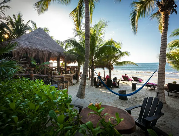 Beachfront Hotel La Palapa - Adults Only hotel detail image 3