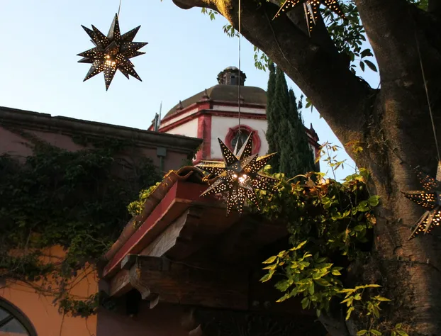 Hotel Casa Rosada - Adults Only hotel detail image 3