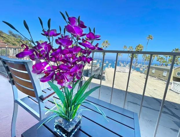 Catalina Courtyard Suites hotel detail image 4