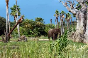 The Fountains Resort by ResortShare hotel detail image 4