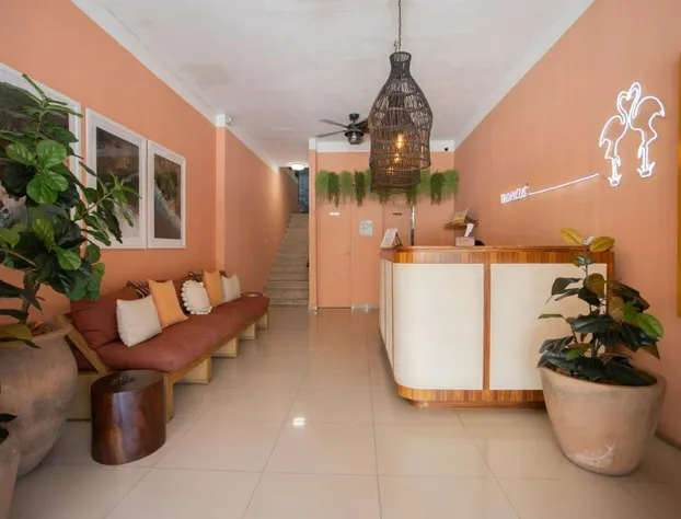 Hotel Tropicus Boutique hotel detail image 2