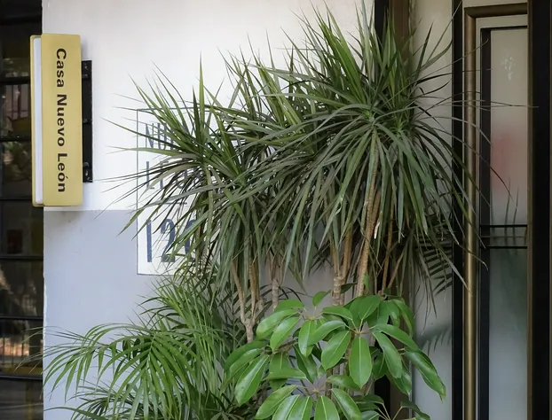 Hotel Casa Nuevo Leon hotel detail image 3